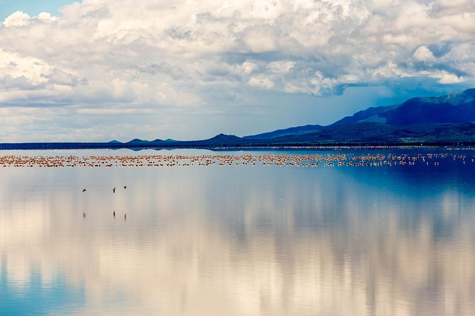 4-day Tanzania Safari - Day 3: Ngorongoro Crater, Tanzania’s natural wildlife bowl