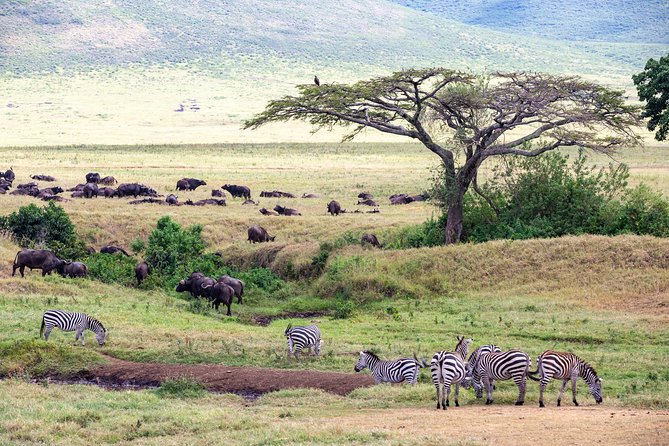 4-day Tanzania Safari - The Land Cruiser and what four days in a vehicle feels like
