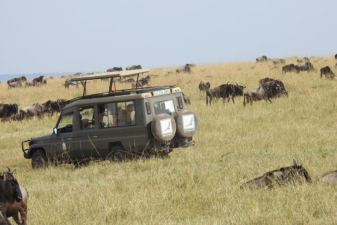4-Day Tarangire, Serengeti, Ngorongoro Crater - Three parks, three very different safari moods
