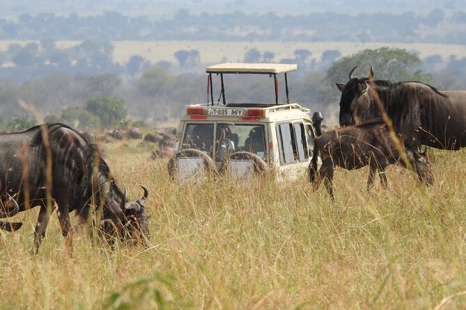 4-Day Tarangire, Serengeti, Ngorongoro Crater - Day 2: Crossing into the Serengeti