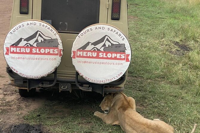 4-Day Tarangire Serengeti, Ngorongoro & Maasai Guided group tour - Day three: an early Serengeti drive and the Ngorongoro rim