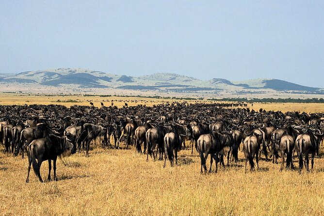 4 Day: Taste of Wildlife - What the $3,400 price includes