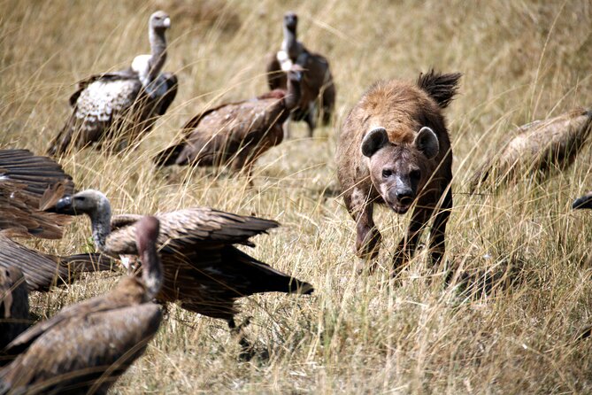 4-Day Tour to Tarangire, Serengeti and Ngorongoro - What the $900 price really covers