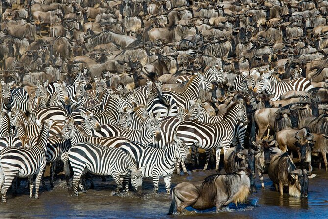 4-Day Tour to Tarangire, Serengeti and Ngorongoro - The guide and the human side of the trip