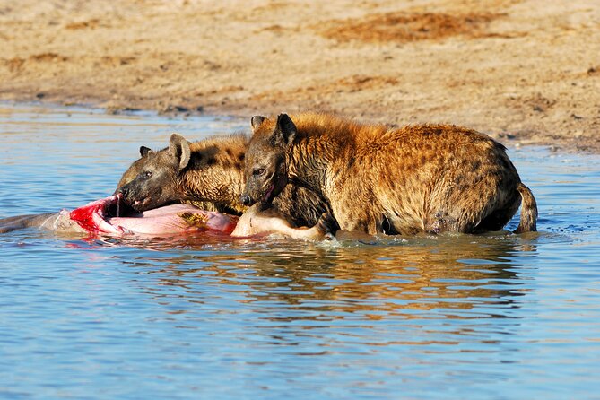 4-Day Tour to Tarangire, Serengeti and Ngorongoro - Practical details that affect your decision