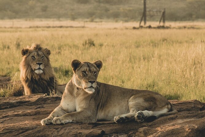 4 Days, 3 Nights Group budget Safari, Lake Manyara, Serengeti, Ngorongoro - Day three: Serengeti game drives and the Ngorongoro rim