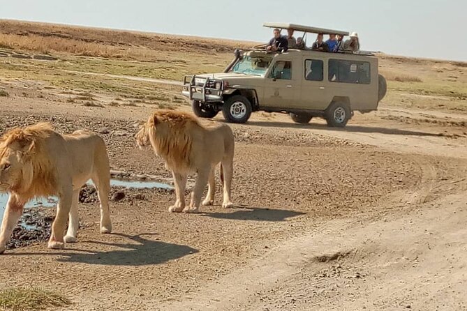 4 Days, 3 Nights Group budget Safari, Lake Manyara, Serengeti, Ngorongoro - Day four: descending into Ngorongoro Crater
