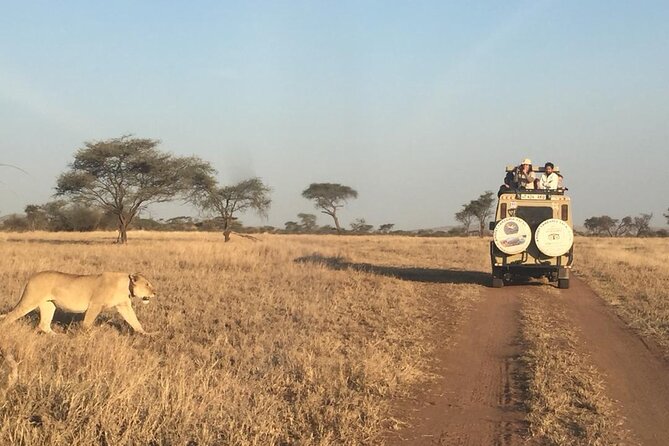 4 Days, 3 Nights Group budget Safari, Lake Manyara, Serengeti, Ngorongoro - What the small group and Land Cruiser mean for you