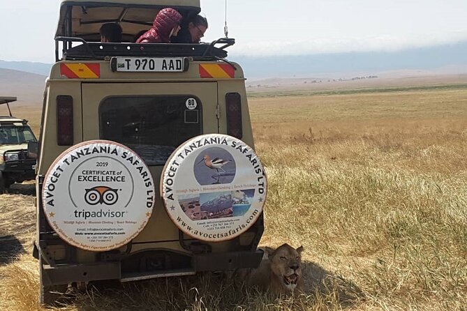 4 Days, 3 Nights Group budget Safari, Lake Manyara, Serengeti, Ngorongoro - Packing for four days on the road