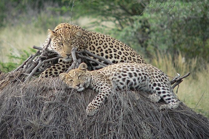 4 Days, 3 Nights Group budget Safari, Lake Manyara, Serengeti, Ngorongoro - Day two: the long road into Serengeti