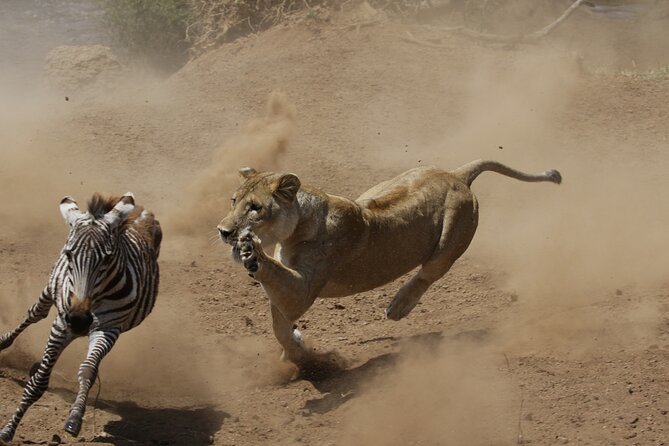 4 days 3 nights Safari- Tarangire, Serengeti and Ngorongoro Crater - Is $883.50 good value?