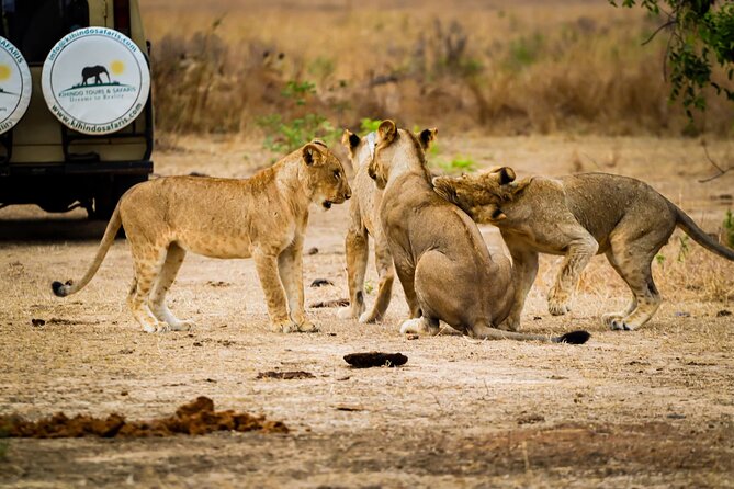 4 Days 3 Nights Safari to Mikumi National Park - Optional cultural and nature activities