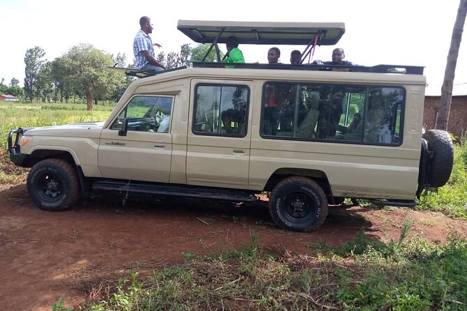 4 days / 3 Nights safari to Ruaha National park - Day two, a full day among Ruaha’s wildlife