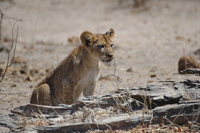 4 days / 3 Nights safari to Ruaha National park - What the $2,200 price covers