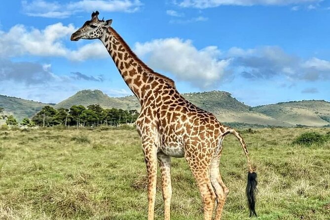 4 Days 3 Nights Selous (Nyerere national park) & Mikumi Adventure - Day 3: Walking in the morning, Mikumi by afternoon