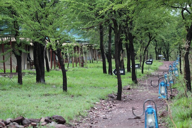 4 Days 3 Nights Tanzanian Budget Safari Tour - What private touring changes
