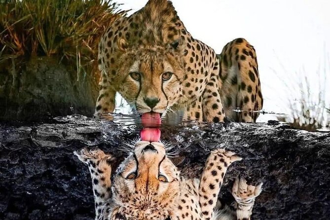 4 Days /3 nights Tarangire, Serengeti and Ngorongoro crater - Why this route works in four days