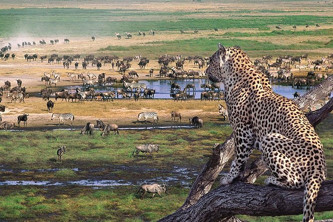 4 Days 3 Nights Tarangire Serengeti & Ngorongoro Lodge Safari - What the $2,080 price covers