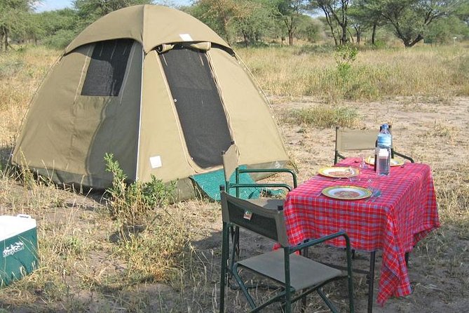 4 Days 3 Nights Tarangire Serengeti & Ngorongoro Lodge Safari - The guide can make or break the safari