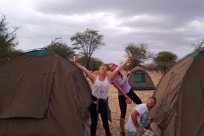4 Days 3 Nights Tarangire Serengeti & Ngorongoro Lodge Safari - Comfort, meals, and practical preparation
