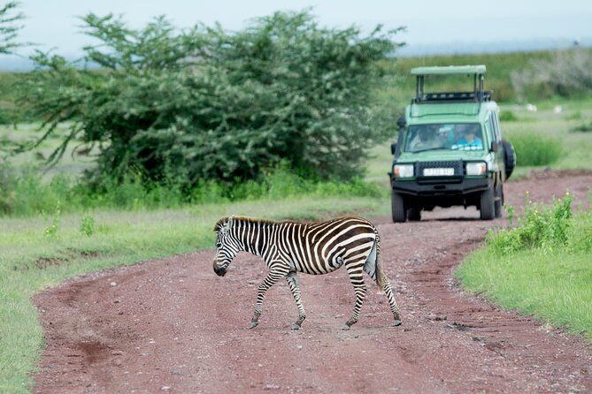 4 days adventure camping safari - A fast route through Tanzania’s Northern Circuit