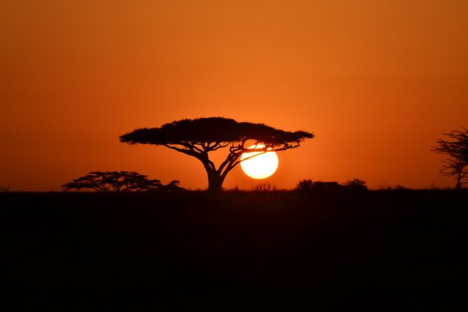 4 days adventure camping safari - Day four: descending into Ngorongoro for black rhino