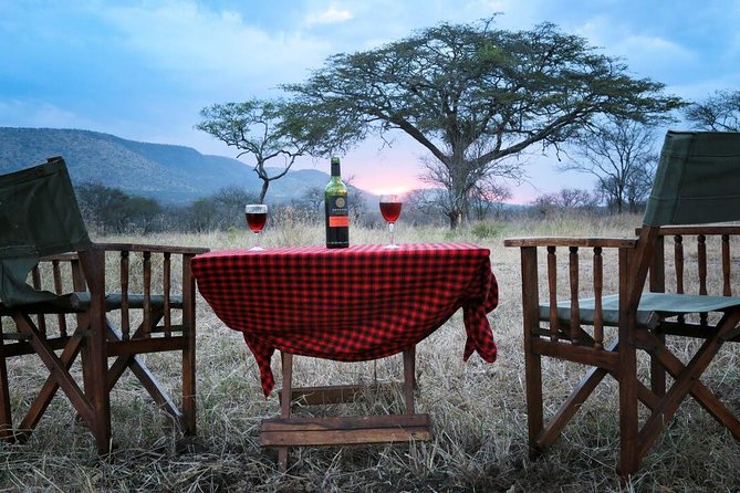4-Days Adventure Camping Safari to Tarangire, Serengeti & Ngorongoro - Day three: an early Serengeti drive and the road to Ngorongoro