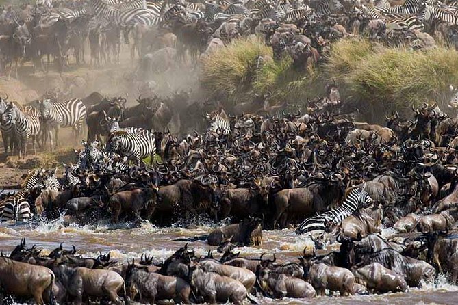 4-Days Adventure Camping Safari to Tarangire, Serengeti & Ngorongoro - Is $1,199 good value?