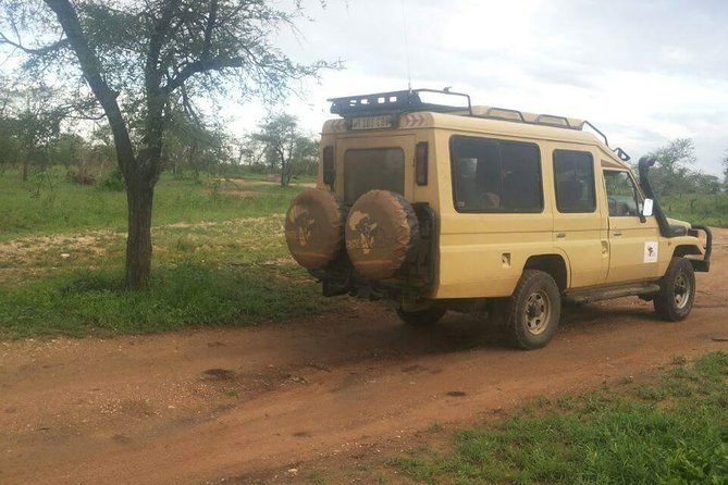 4 Days Affordable Tanzania Budget Safari - What is included, and what still needs checking