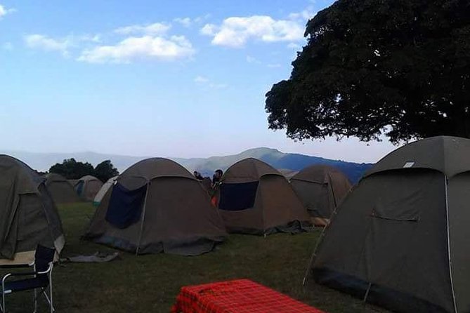 4 Days Affordable Tanzania Budget Safari - Day 2: Highlands, crater views, and the road to Serengeti