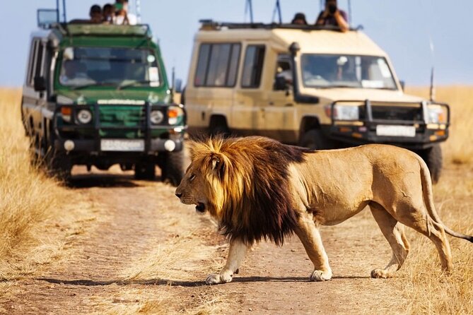 4 days Awesome Luxury safari Tarangire Serengeti & Ngorongoro - Three northern Tanzania parks in four days