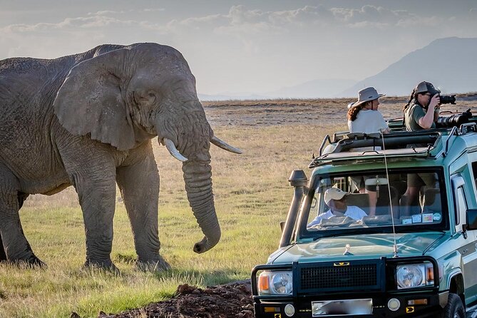 4 days Awesome Luxury safari Tarangire Serengeti & Ngorongoro - Day 2: From Karatu highlands to the Serengeti
