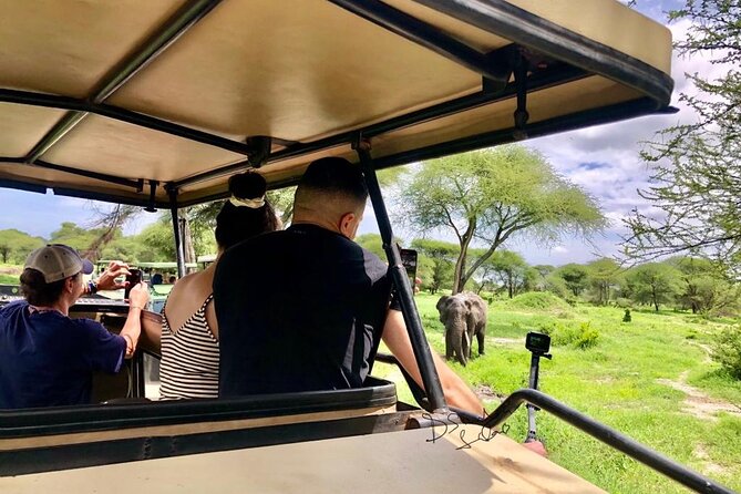 4 days Awesome Luxury safari Tarangire Serengeti & Ngorongoro - Day 4: A crater floor crowded with wildlife