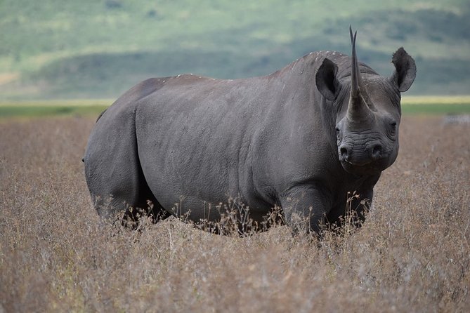 4: days Big five safari - What is included, and what still costs extra