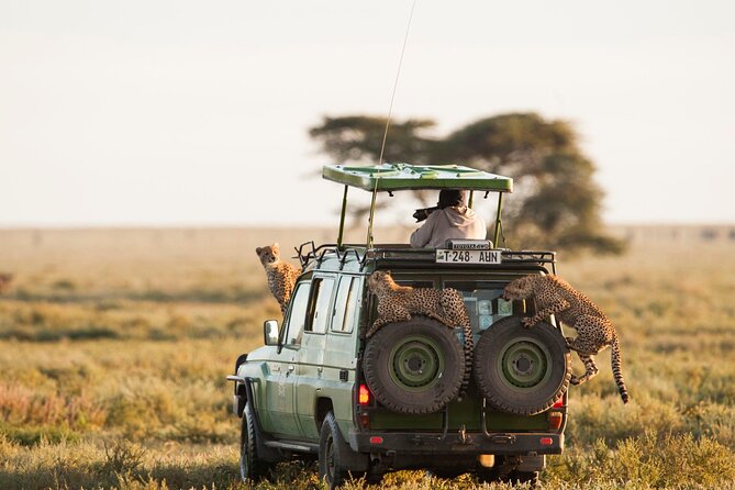 4 Days Experience big five in Tarangire, Serengeti & Ngorongoro Safari - Meals, water, and camping comfort