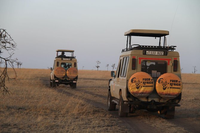 4 Days Game drives Safari Tarangire, Serengeti and Ngorongoro Crater - What this safari is really designed to do