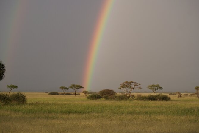 4 Days Group Camping Safari - Day 3: A long Serengeti morning before Ngorongoro