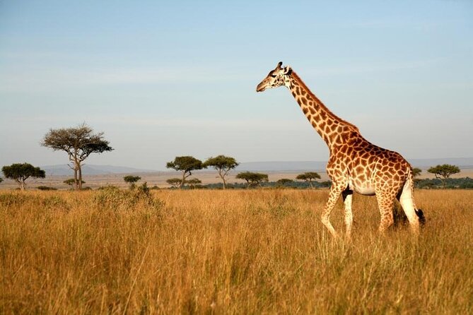 4 Days Group Joining Camping Tanzania safari - Why this route works for a short Tanzania safari