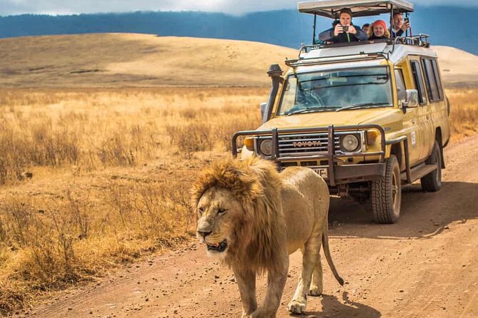 4 Days Group Joining Camping Tanzania safari - Day 1: elephants and bird country in Tarangire