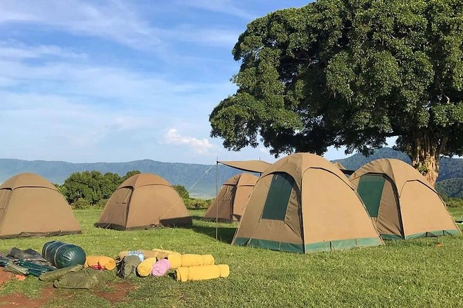 4 Days Join Group tour Tarangire Serengeti and Ngorongoro crater - Day four: descending into Ngorongoro Crater