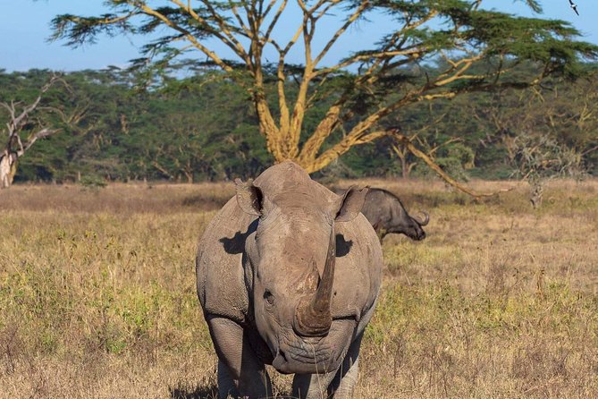 4 Days Joined Group Safari Serengeti,Ngorongoro and Tarangire National Parks - Camping, meals, and comfort