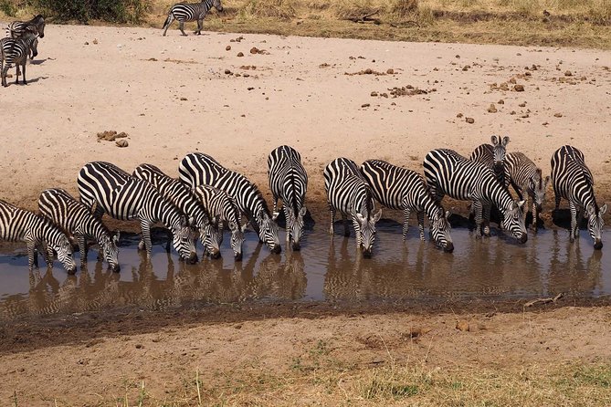 4 Days Joining group budget camp Safari in Serengeti , Ngorongoro and Tarangire - Meals, drinks, and dietary needs