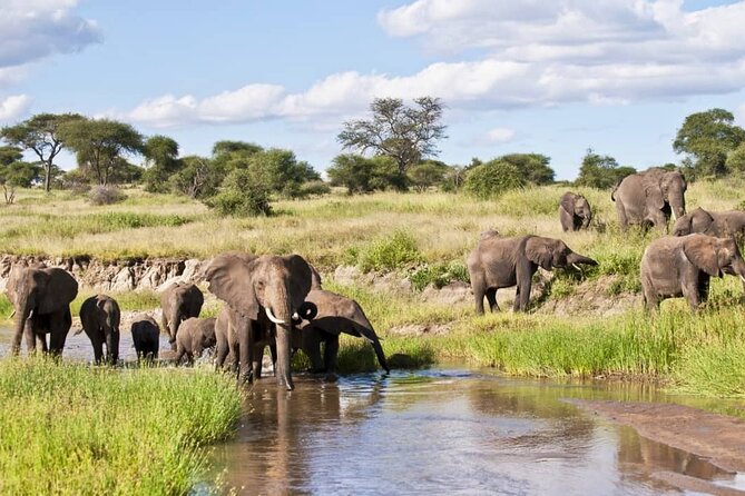 4 Days Lake Manyara National Park, Ngorongoro Crater , Serengeti National Park. - Day 1: Kilimanjaro Airport and the evening briefing