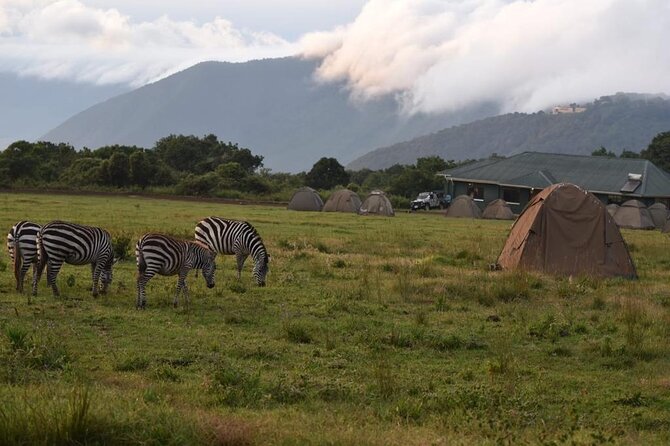 4 Days lodge &camping Tarangire,Serengeti, Ngorongoro Safari Tour - Day 3 gives you a proper Serengeti morning