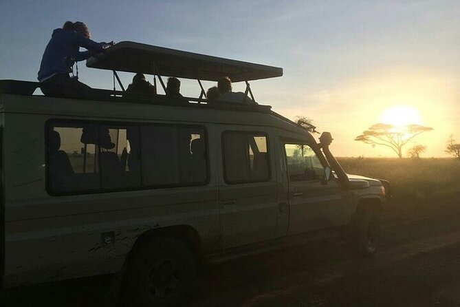 4 Days lodge &camping Tarangire,Serengeti, Ngorongoro Safari Tour - Small groups and the guide experience
