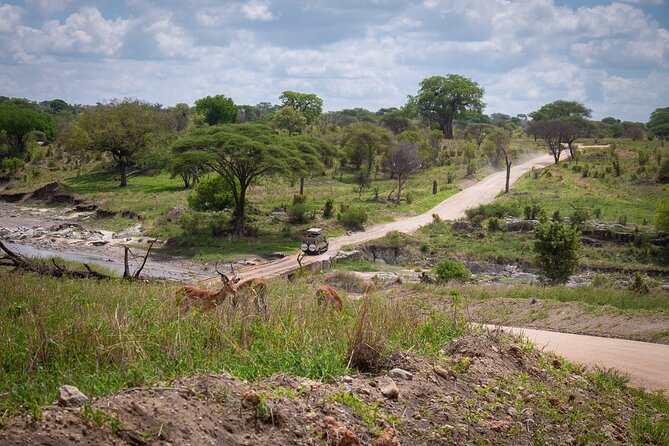 4 Days lodge &camping Tarangire,Serengeti, Ngorongoro Safari Tour - The main costs and compromises