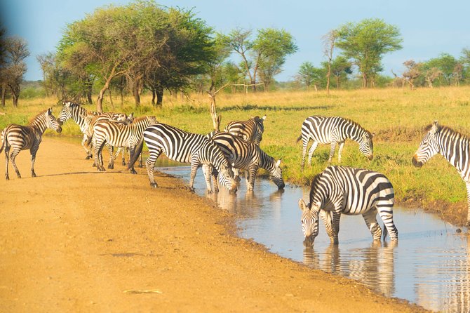 4 Days Lodge Safari - Private transport, meals, and what the price covers