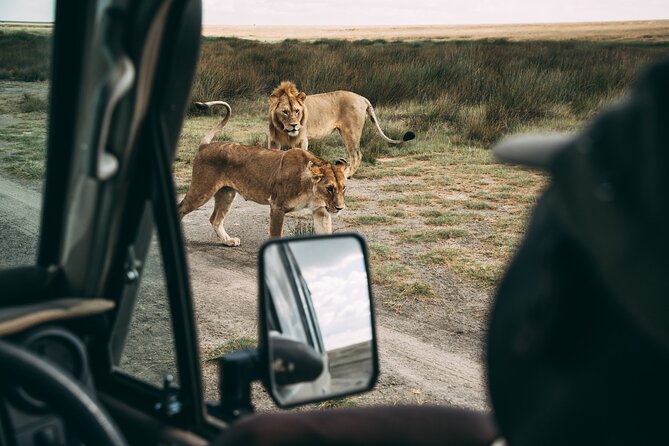 4 Days Lodge Safari in Lake Manyara, Serengeti & Ngorongoro Crater - Why this four-day route works