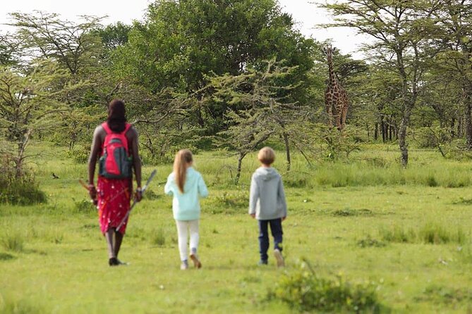 4 Days lodge safari Tarangire , Ngorongoro crater & Walking - What this four-day route really offers