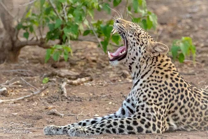 4 Days Luxury Lodge Safari Tour Tanzania - Why this four-day route works